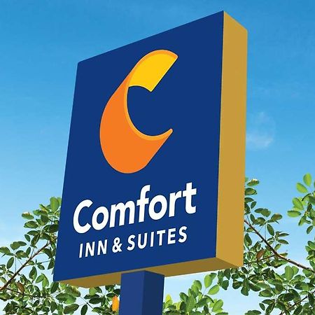 Comfort Inn & Suites Newark Liberty International Airport Εξωτερικό φωτογραφία